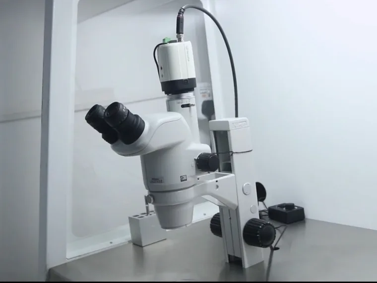 IVF microscope in the embryology laboratory